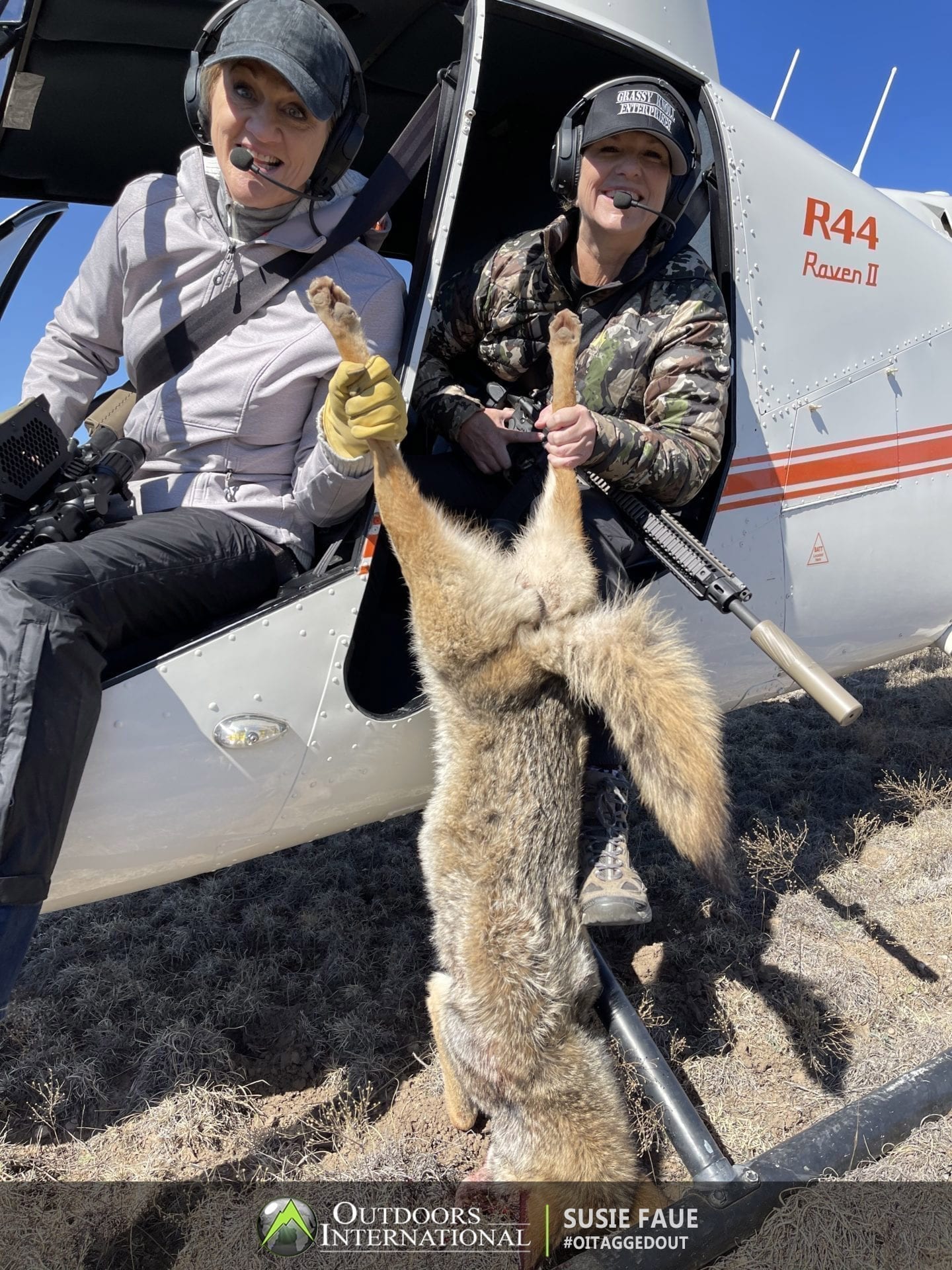 Heli-hunting for coyotes