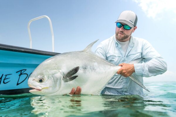 A permit can be the most finicky of all the target species down in Belize as even a well-presented fly can get the eye of rejection from a feeding permit.