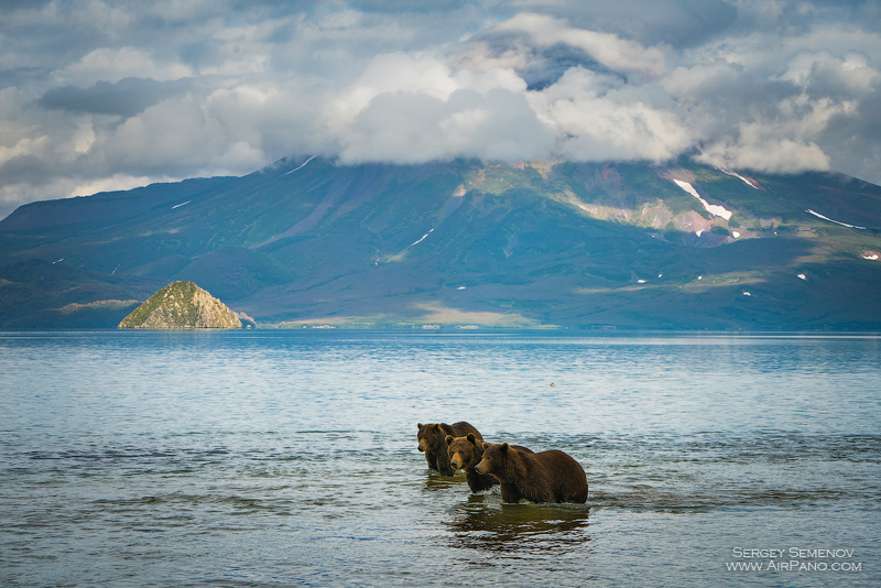 Brown bears fishign for salmon in Kamchatka » Outdoors International Brown bears fishign for salmon in Kamchatka