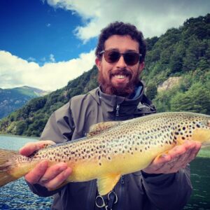 A great brown trout