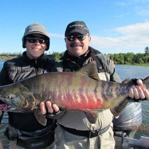 Our guides and clients have started referring to these as Tiger Salmon to show the proper respect for these striped wild fighters.