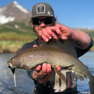 The River boasts outstanding runs of all five species of Pacific Salmon, Sea run Dolly Varden, Rainbow Trout and Grayling.