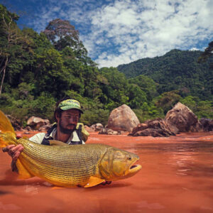 If youāre looking for a fishing adventure that few others will ever experience, Golden Dorado fishing Bolivia is a jungle adventure like none other.