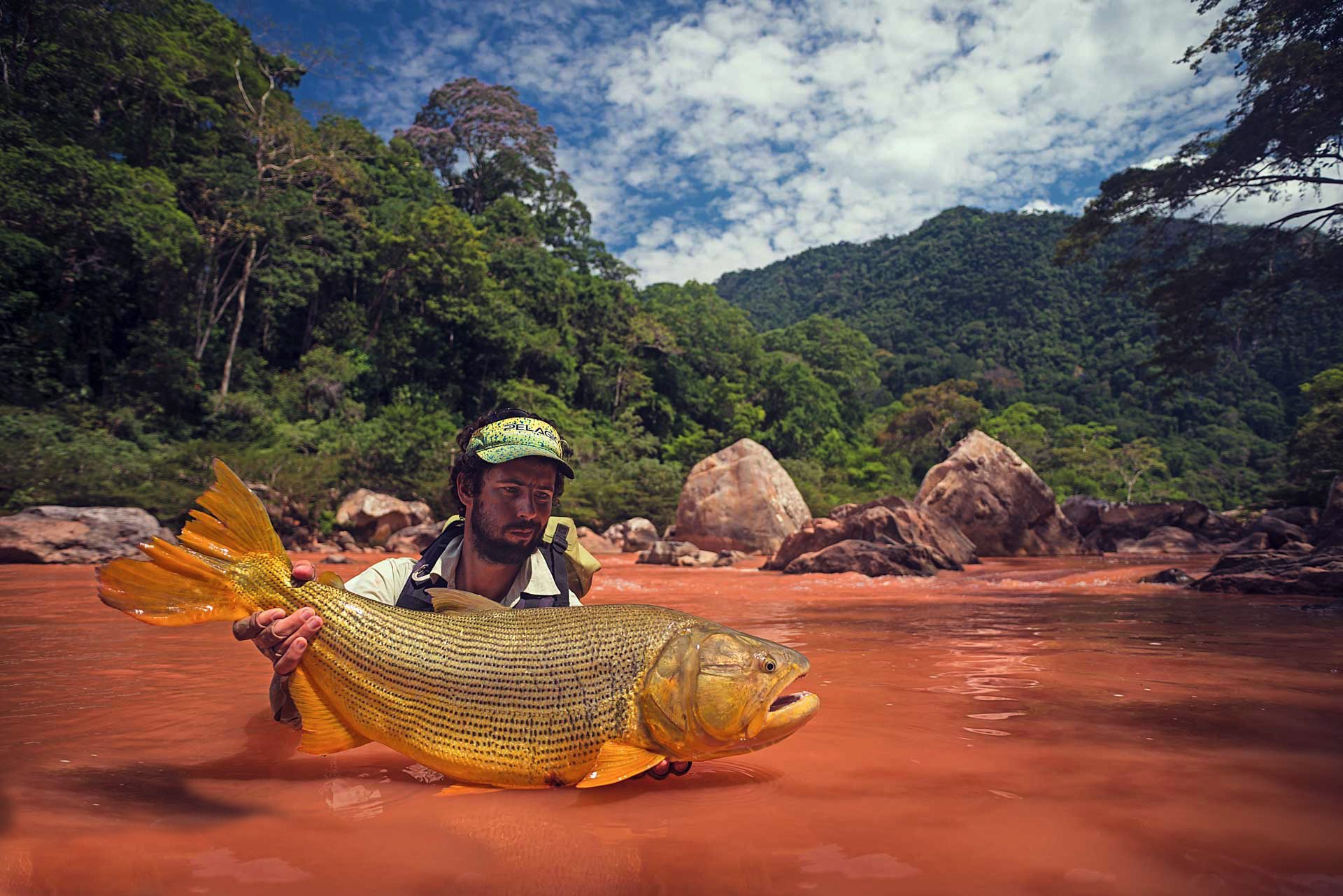 If you’re looking for a fishing adventure that few others will ever experience, Golden Dorado fishing Bolivia is a jungle adventure like none other.