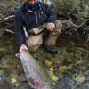 Kvichak RIver fly fishing for legendary rainbow trout