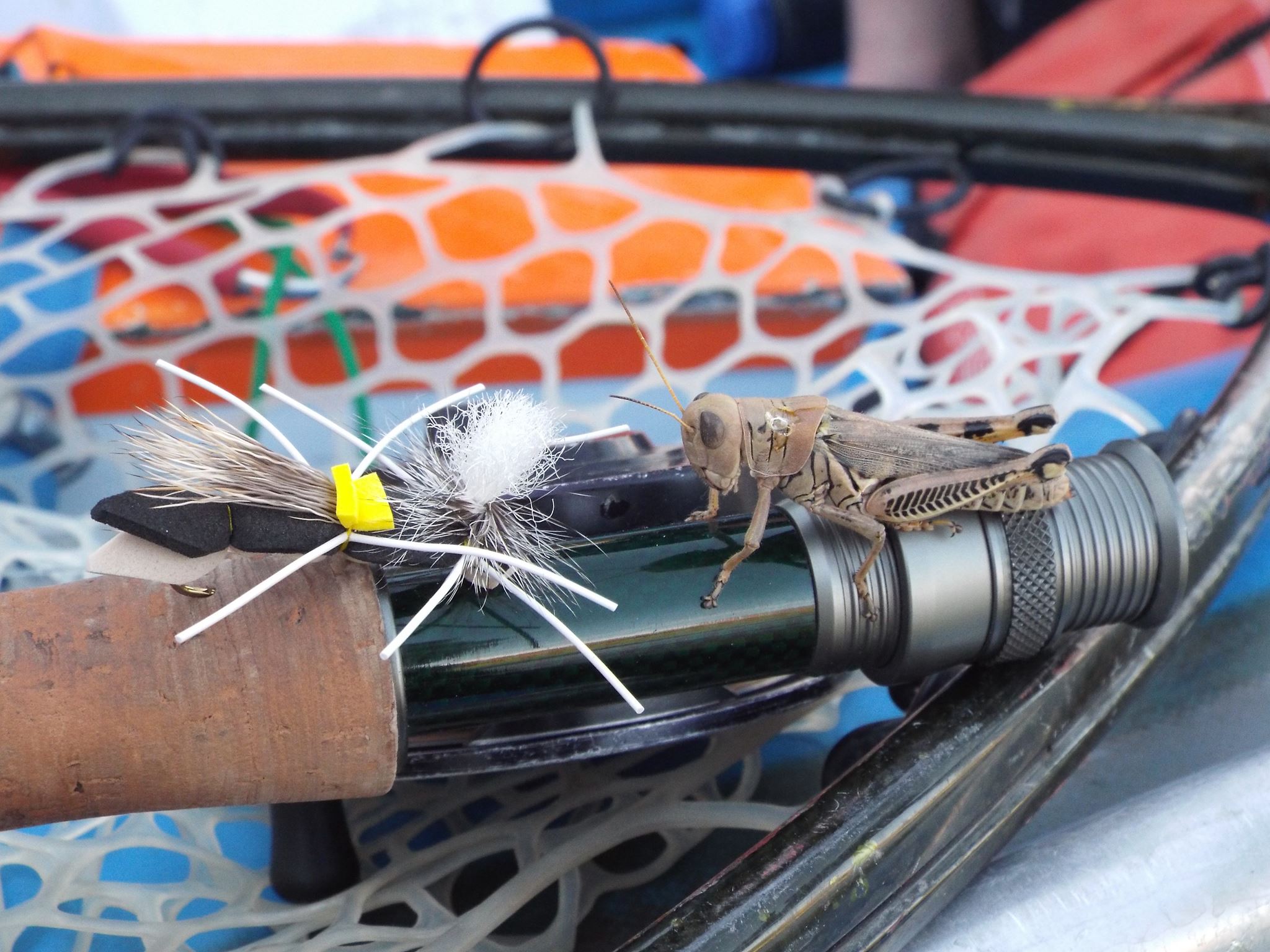 Gunnison River Fly Fishing Float Trips » Outdoors International