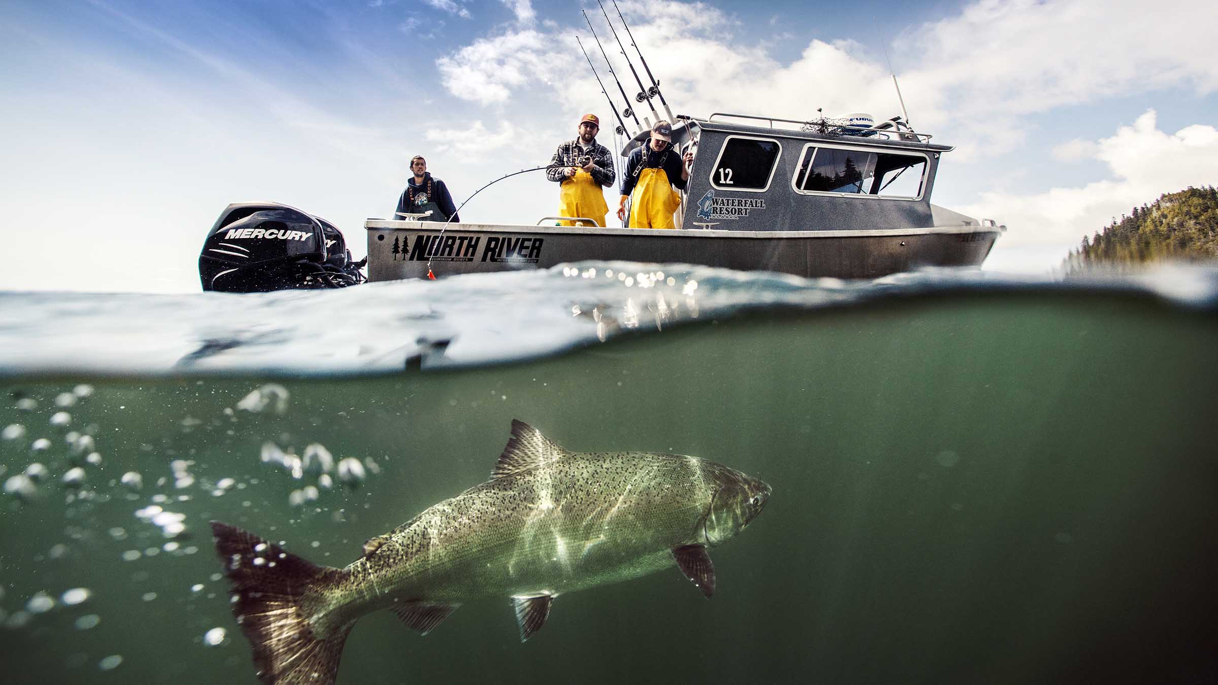 Prince-of-Wales-Fishing-Lodge-Salmon-Fishing-9.jpg » Outdoors International Underwater photo of a salmon