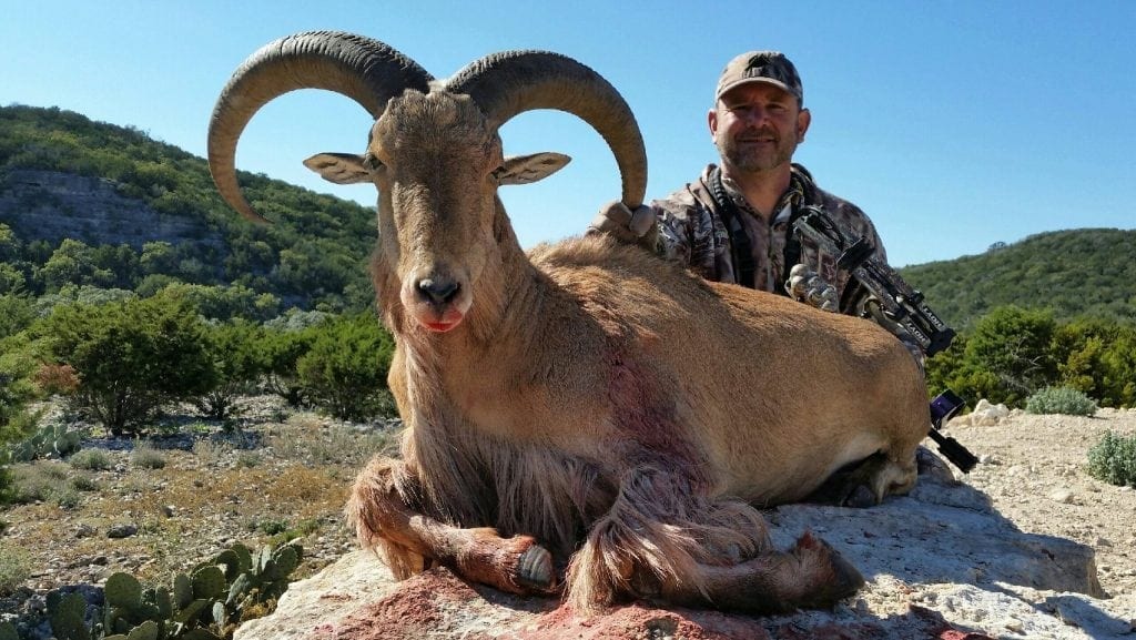Russ with an archery aoudad