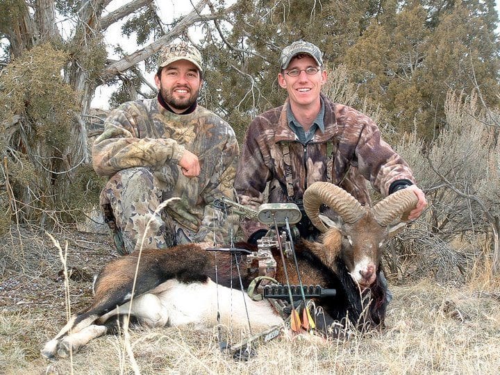 Idaho exotic hunting
