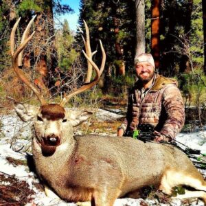 Late season archery mule deer
