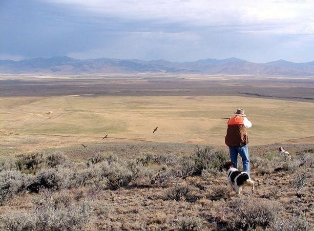 Idaho chukar hunting