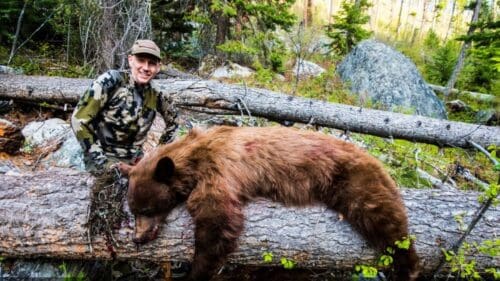 John LaBanc Client Idaho Black Bear WMO » Outdoors International John LaBanc with his Idaho spring bear.
