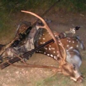 Texas Axis Deer Hunt