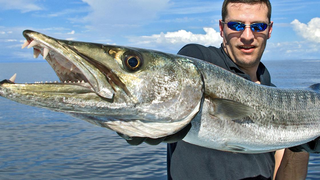 Saltwater Safari #6: Mastering Barracuda Fishing: The Game