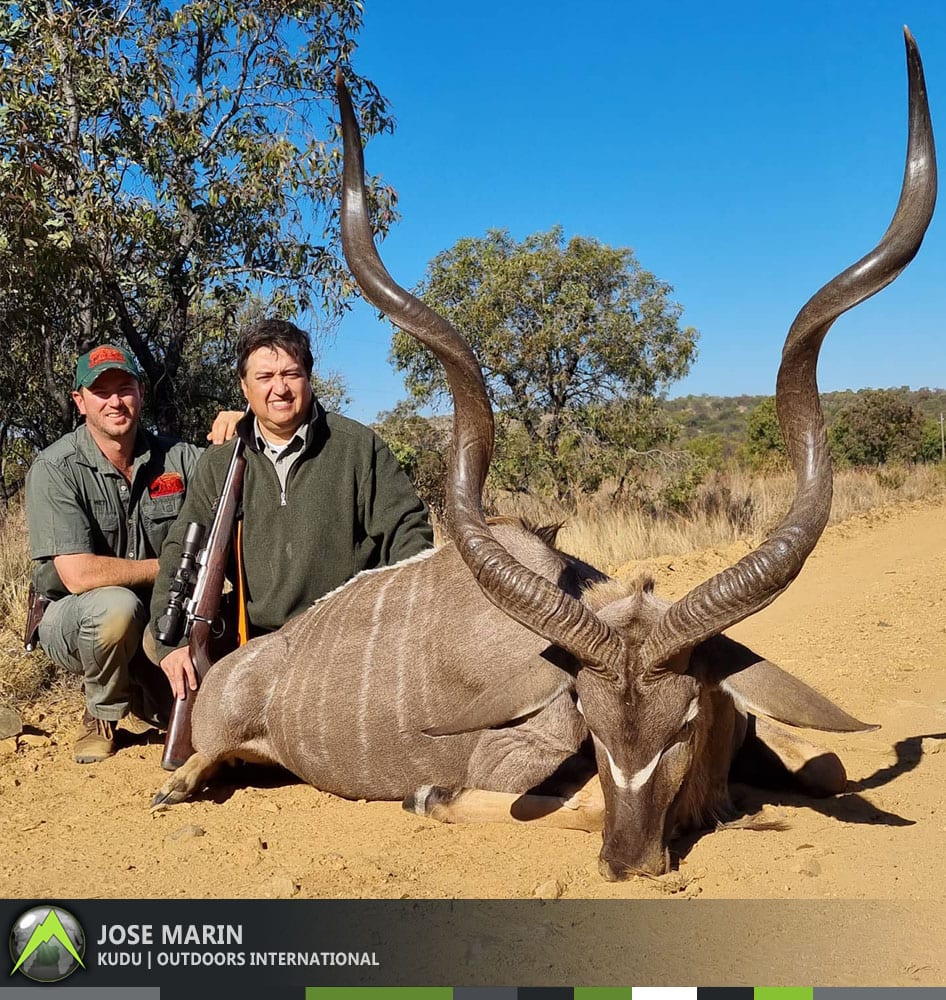 José made a perfect 195 meter shot with the 375 H&H to secure this old kudu bull as he was browsing unaware of our presence.