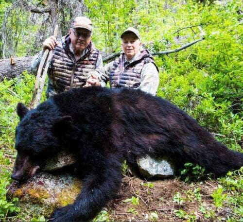 A great Idaho bear