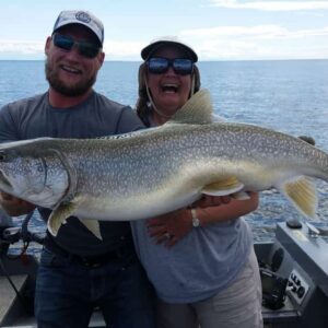 Lake Trout