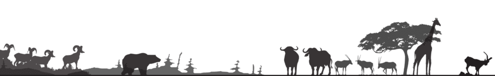 Sillouette-Header » Outdoors International Live like you mean it.