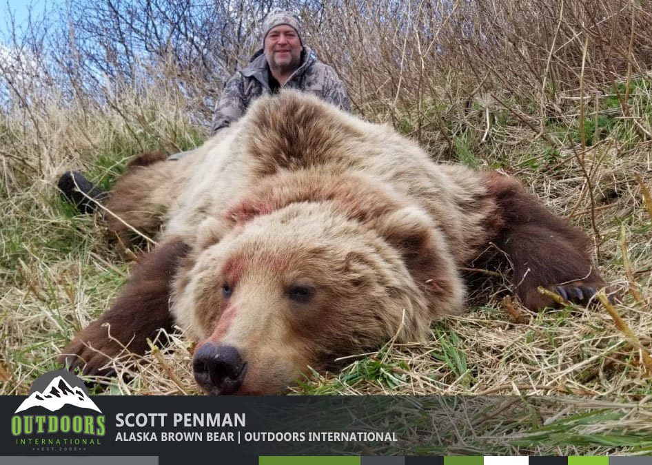 Alaska Brown Bear Hunt Report by Scott Penman