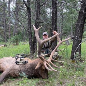 A great archery bull taken in New Mexico
