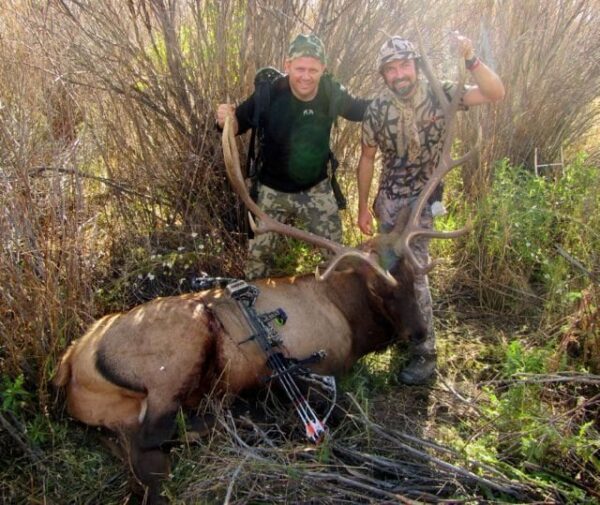 Archery Elk Hunting in Idaho » Outdoors International