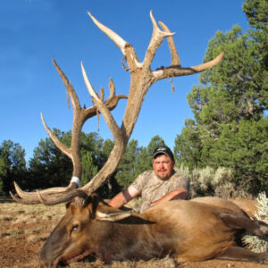 archery elk hunting arizona