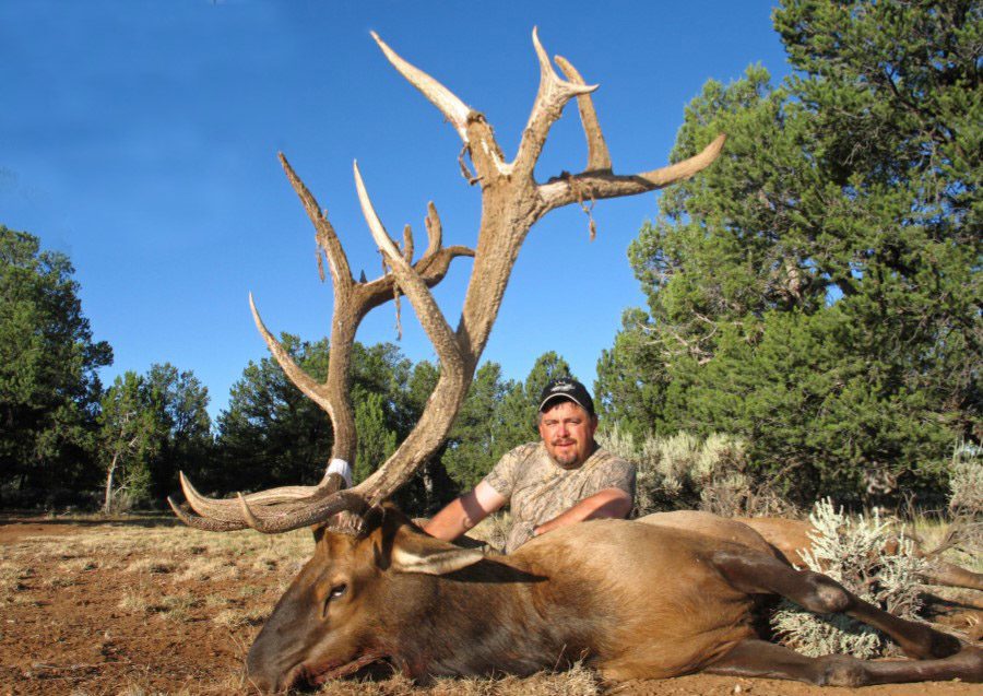 Archery Elk Hunting Arizona » Outdoors International