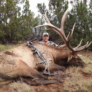 archery elk hunting arizona