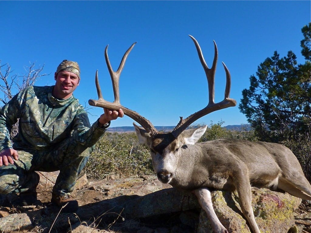 Arizona OTC Mule Deer Hunts » Outdoors International