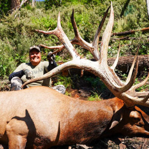 While most of the press around elk hunting is drawn to the early archery hunts, rifle opportunities exist, too, with the most coveted one being the early rifle bull hunts.