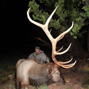 Elk hunting in Arizona