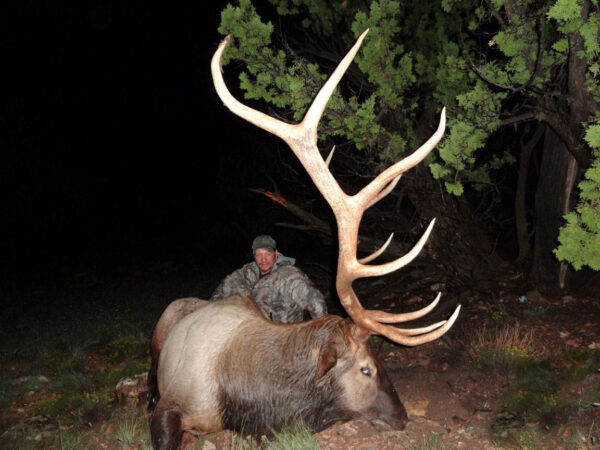 Elk hunting in Arizona