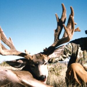 Arizona Strip Mule Deer Hunting