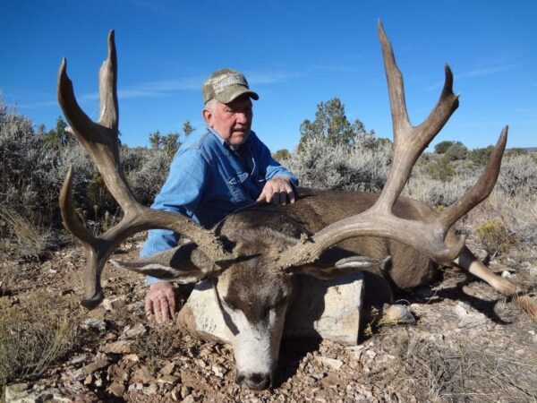 arizona strip mule deer hunting