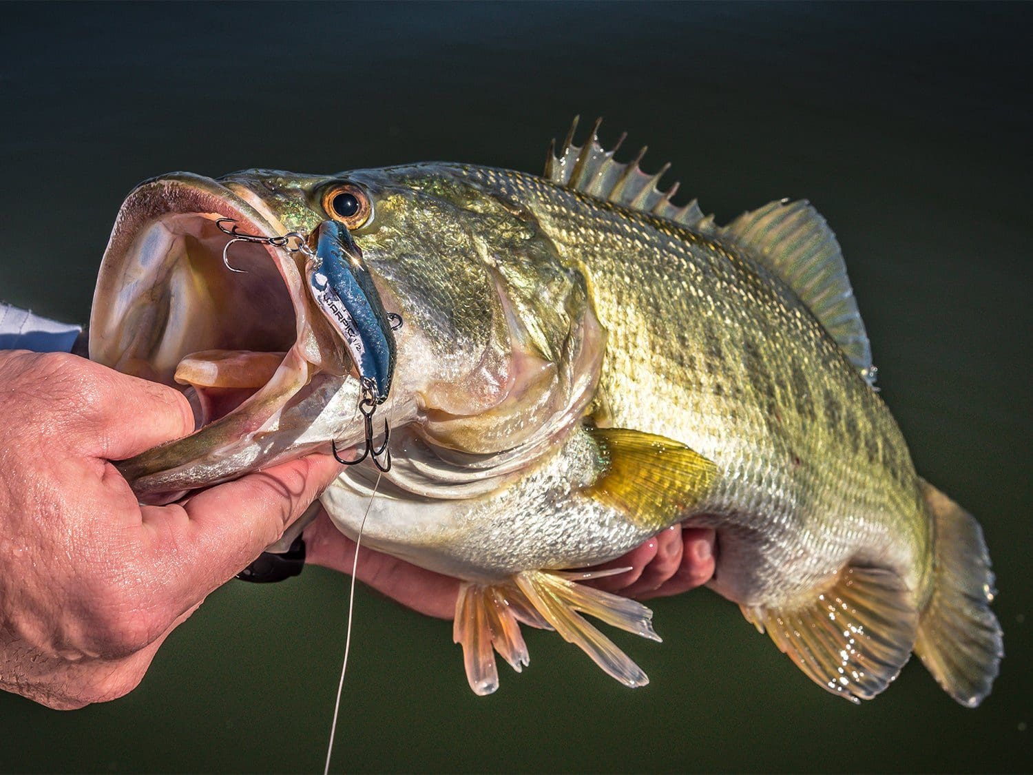 Bass Fishing Destinations