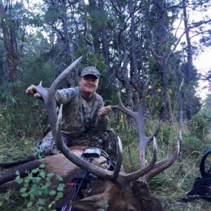 Archery elk hunting in Colorado