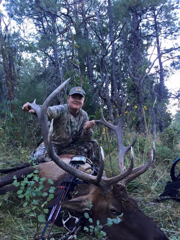 Archery elk hunting in Colorado