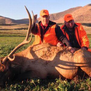 Colorado Elk Hunting Ranches