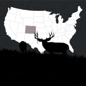 Colorado Mule Deer Hunting Voucher