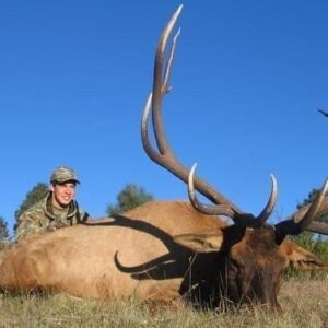 This outfitter has access to thousands of acres of good elk hunting in the Gila and surrounding areas.