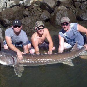 sturgeon fishing
