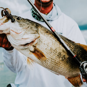 Lake Guerrero bass fishing in Mexico hass world-renowned, record-class trophy bass fishing.