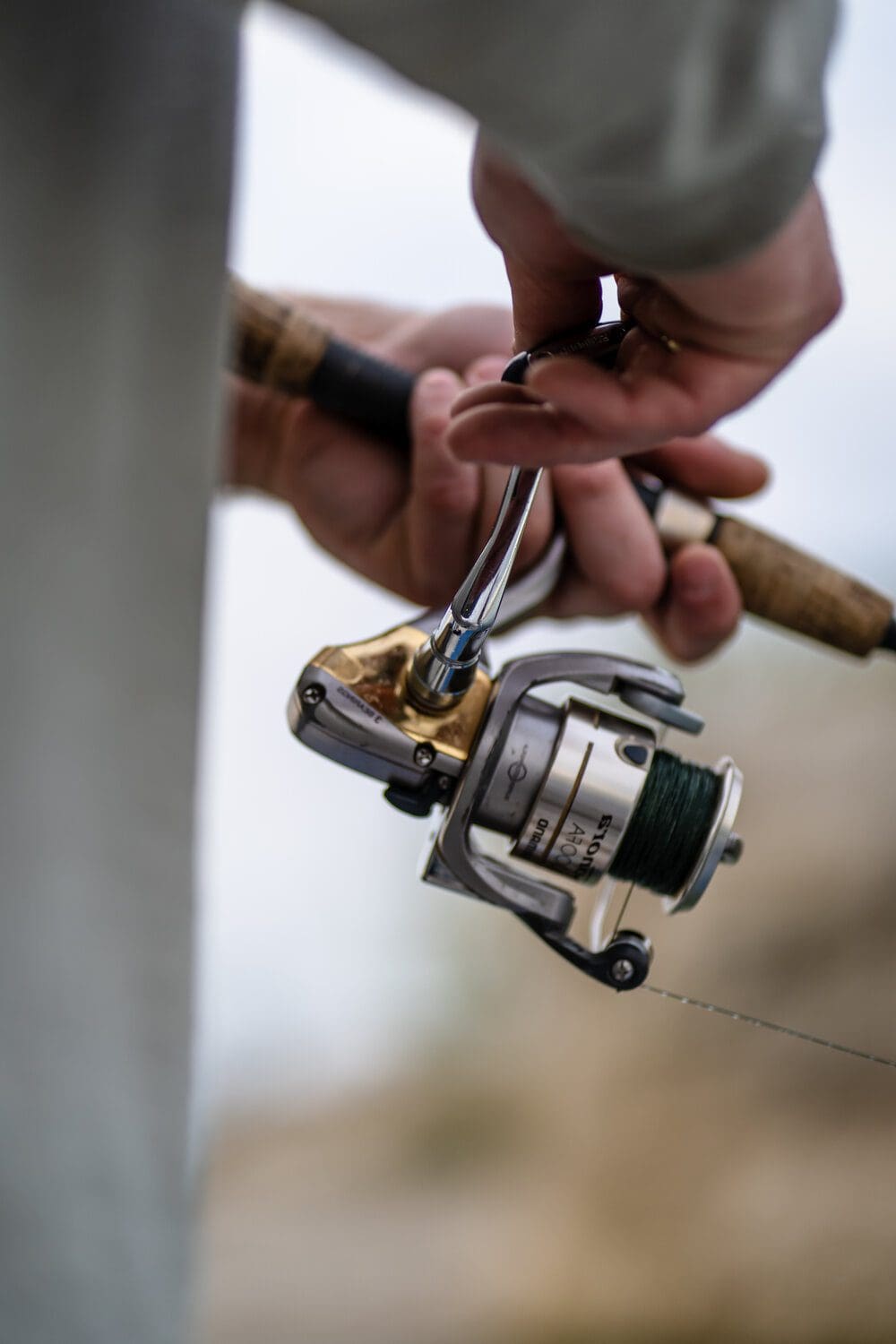 reels