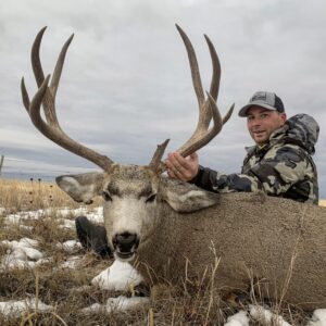 Montana mule deer hunting