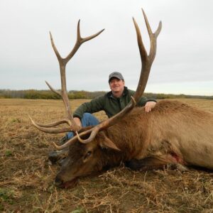Elk Hunting in Alberta, Canada