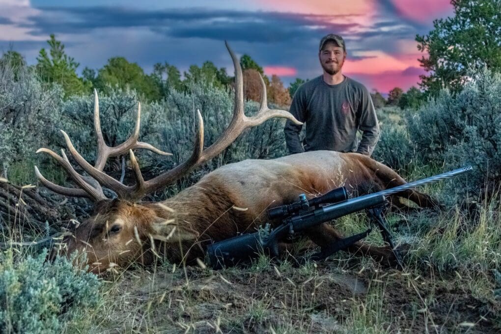 New Mexico Elk SUP Hunter Sunset » Outdoors International Private ground elk hunts in Wyoming.