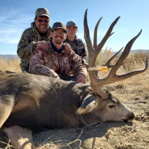 New Mexico mule deer hunting