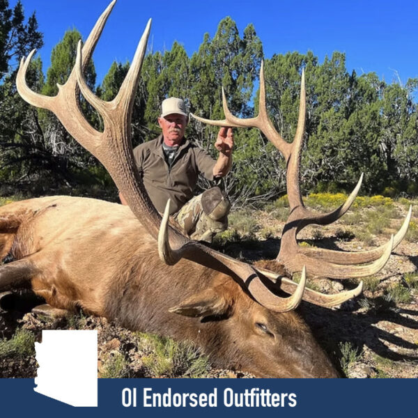 OI Endorsed Elk Hunts in Arizona