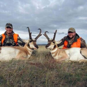 An antelope double