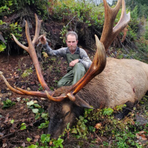 British Columbia Roosevelt Elk Hunt